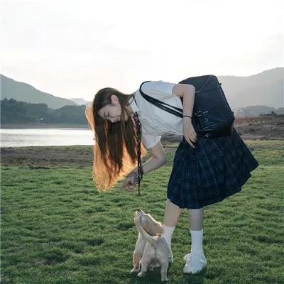 狮子狗行动